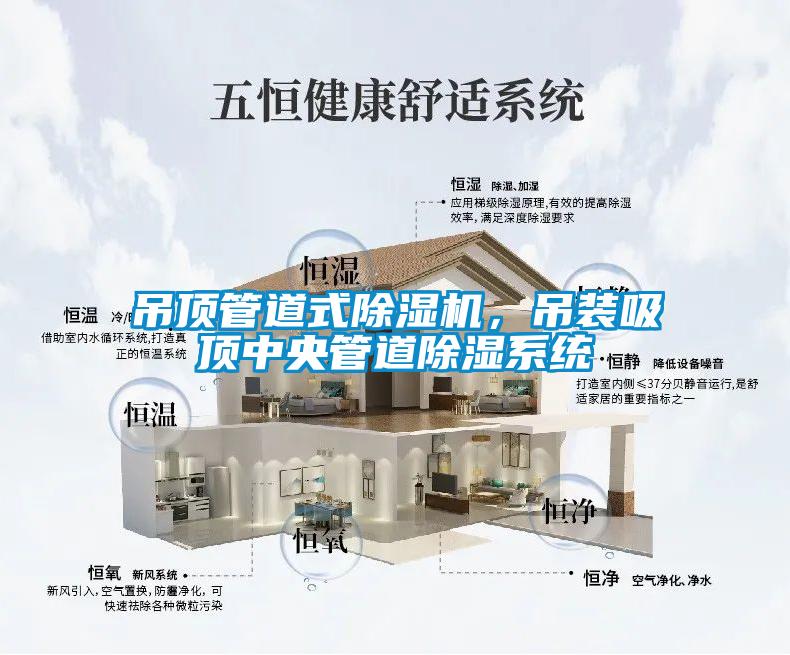 吊頂管道式除濕機(jī)，吊裝吸頂中央管道除濕系統(tǒng)