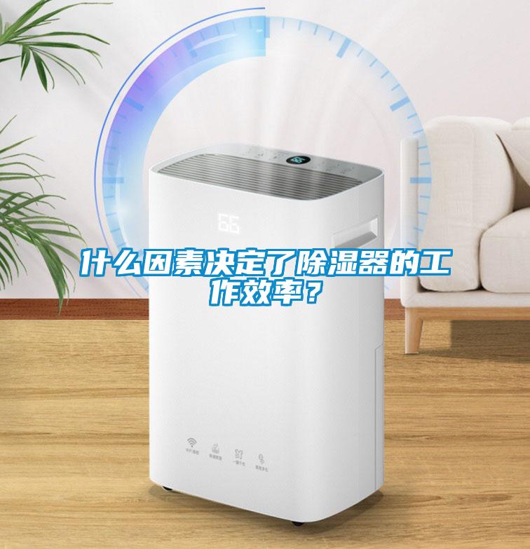 什么因素決定了除濕器的工作效率？