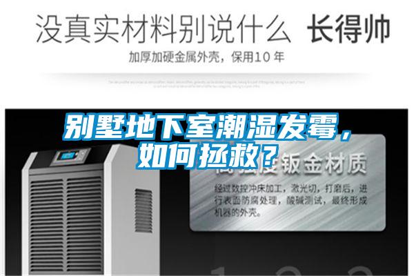 別墅地下室潮濕發(fā)霉，如何拯救？