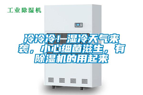冷冷冷！濕冷天氣來襲，小心細菌滋生，有除濕機的用起來