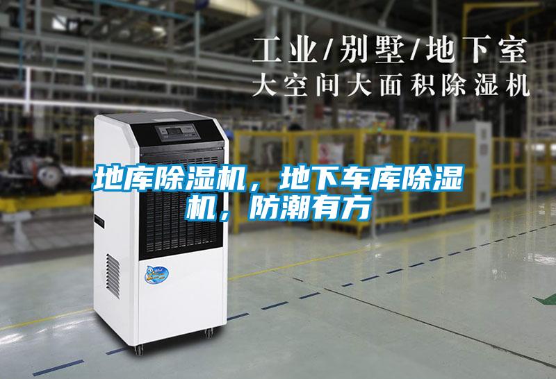 地庫(kù)除濕機(jī)，地下車庫(kù)除濕機(jī)，防潮有方