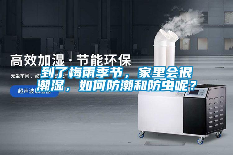 到了梅雨季節(jié)，家里會很潮濕，如何防潮和防蟲呢？