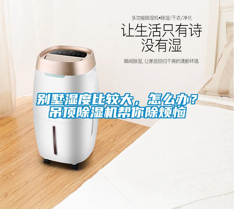 別墅濕度比較大，怎么辦？吊頂除濕機幫你除煩惱