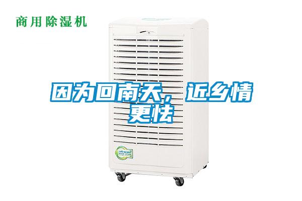 因為回南天，近鄉(xiāng)情更怯