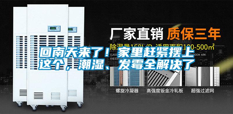 回南天來了！家里趕緊擺上這個，潮濕、發(fā)霉全解決了