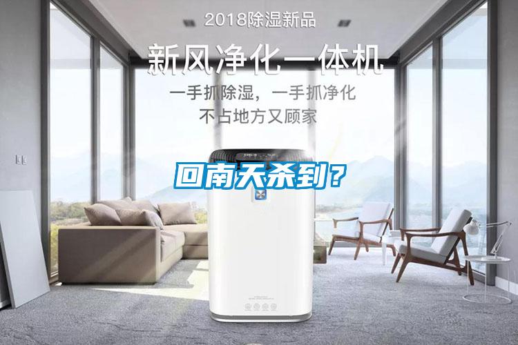 回南天殺到？