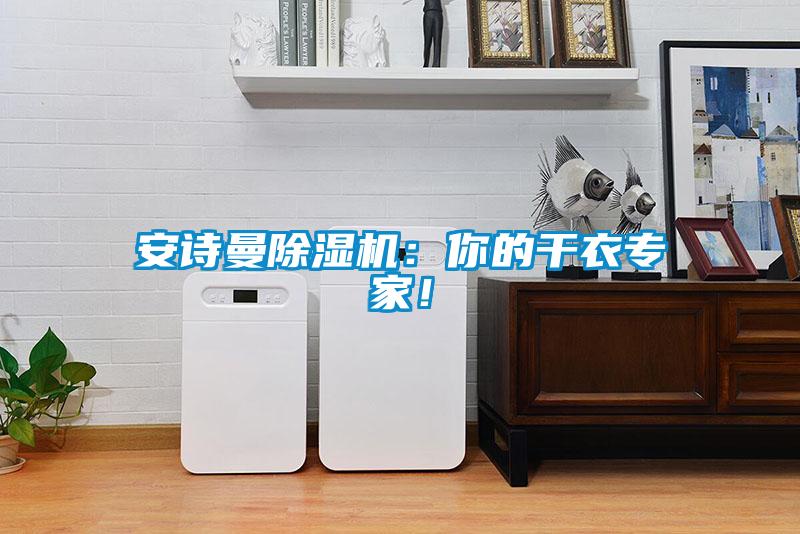安詩曼除濕機(jī)：你的干衣專家！