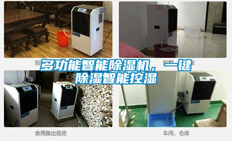 多功能智能除濕機(jī)，一鍵除濕智能控濕
