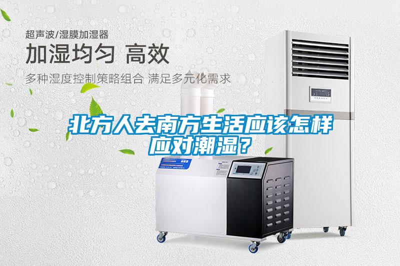 北方人去南方生活應該怎樣應對潮濕？