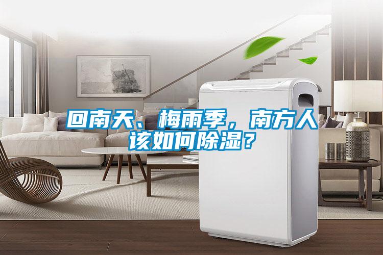 回南天、梅雨季，南方人該如何除濕？