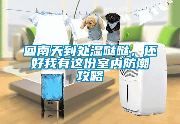 回南天到處濕噠噠，還好我有這份室內(nèi)防潮攻略