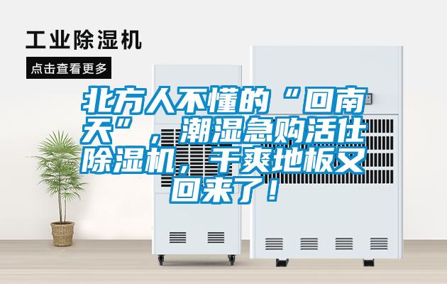 北方人不懂的“回南天”，潮濕急購活仕除濕機，干爽地板又回來了！
