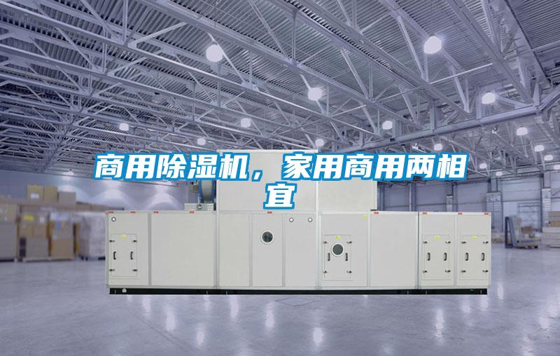 商用除濕機(jī)，家用商用兩相宜