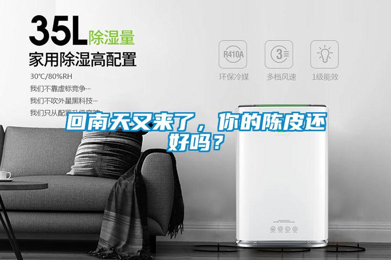 回南天又來了，你的陳皮還好嗎？
