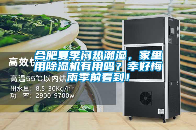 合肥夏季悶熱潮濕，家里用除濕機(jī)有用嗎？幸好梅雨季前看到！