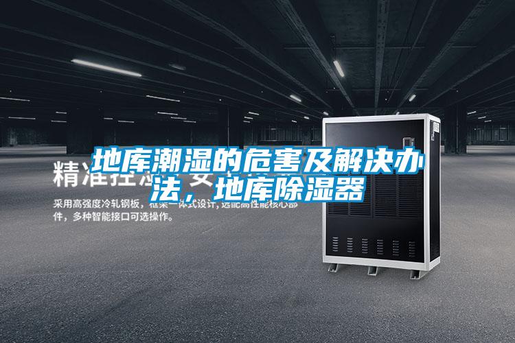 地庫(kù)潮濕的危害及解決辦法，地庫(kù)除濕器