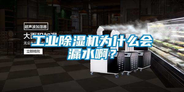 工業(yè)除濕機(jī)為什么會漏水??？