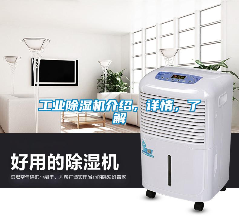 工業(yè)除濕機介紹，詳情，了解
