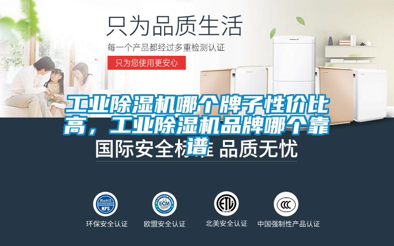 工業(yè)除濕機(jī)哪個(gè)牌子性價(jià)比高，工業(yè)除濕機(jī)品牌哪個(gè)靠譜