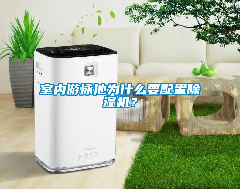 室內(nèi)游泳池為什么要配置除濕機？