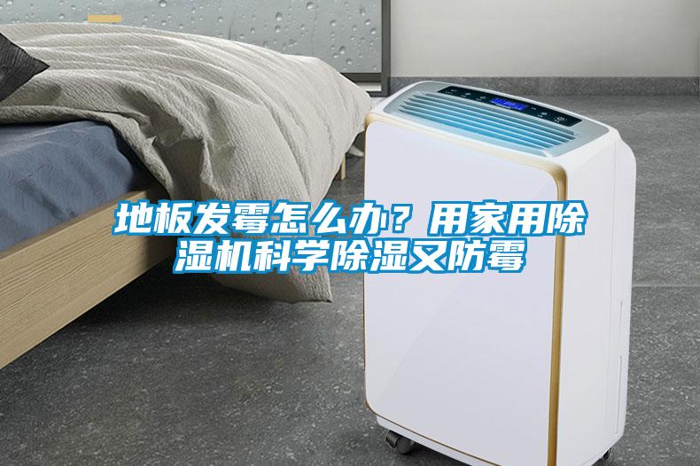 地板發(fā)霉怎么辦？用家用除濕機(jī)科學(xué)除濕又防霉