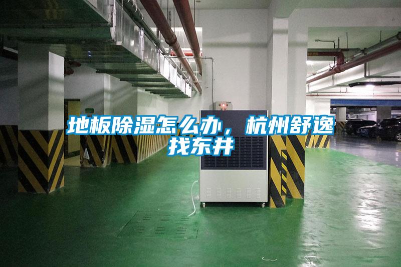 地板除濕怎么辦，杭州舒逸找東井