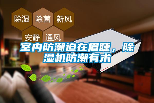 室內(nèi)防潮迫在眉睫，除濕機防潮有術(shù)