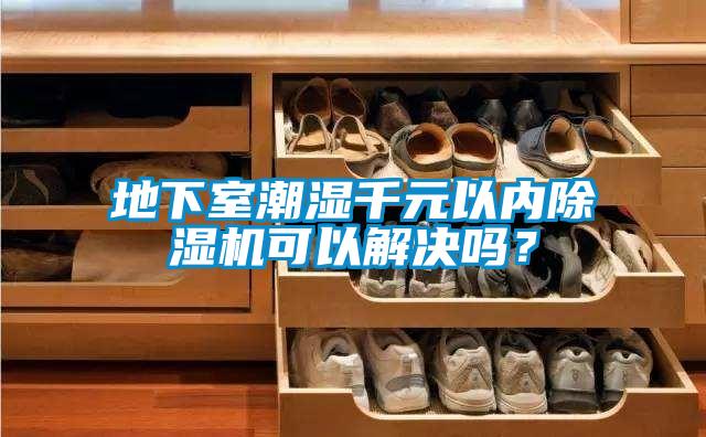 地下室潮濕千元以內(nèi)除濕機(jī)可以解決嗎？