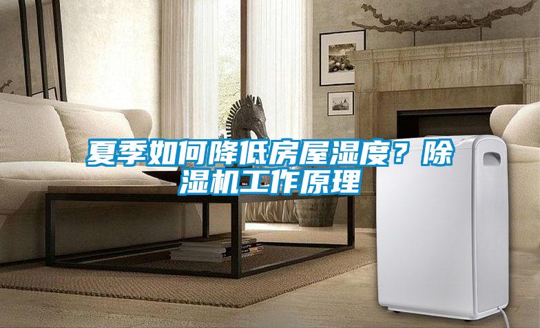 夏季如何降低房屋濕度？除濕機(jī)工作原理