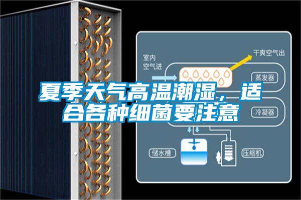 夏季天氣高溫潮濕，適合各種細(xì)菌要注意