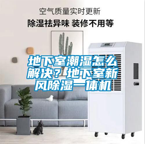 地下室潮濕怎么解決？地下室新風(fēng)除濕一體機(jī)