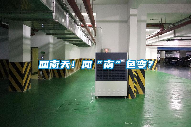 回南天！聞“南”色變？