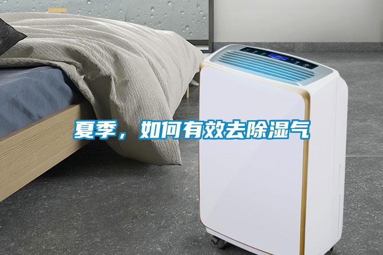 夏季，如何有效去除濕氣