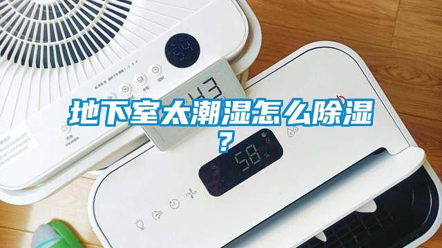 地下室太潮濕怎么除濕？