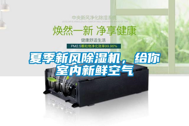 夏季新風(fēng)除濕機(jī)，給你室內(nèi)新鮮空氣