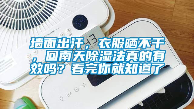 墻面出汗，衣服曬不干，回南天除濕法真的有效嗎？看完你就知道了