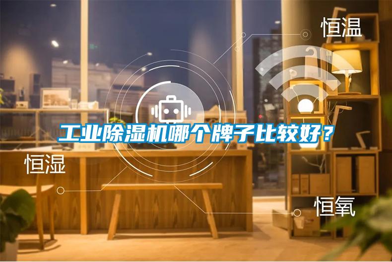 工業(yè)除濕機(jī)哪個(gè)牌子比較好？