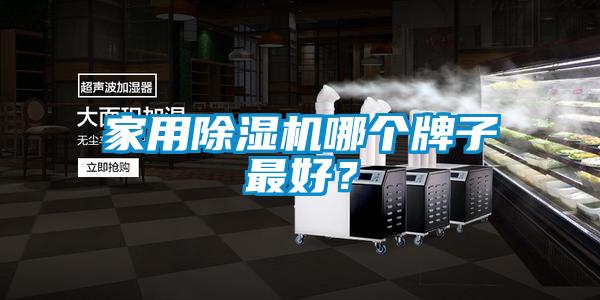 家用除濕機哪個牌子最好？