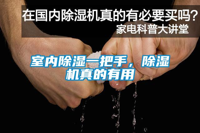 室內(nèi)除濕一把手，除濕機(jī)真的有用