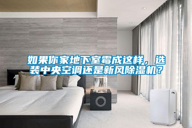 如果你家地下室霉成這樣，選裝中央空調還是新風除濕機？