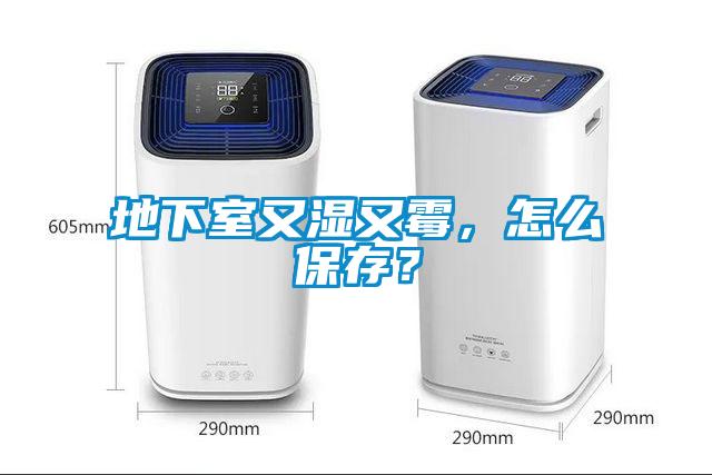 地下室又濕又霉，怎么保存？