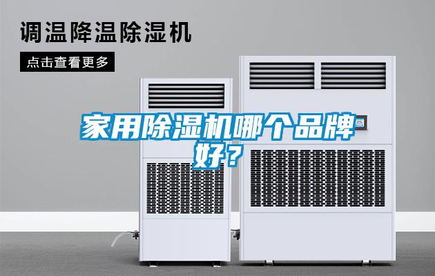 家用除濕機(jī)哪個(gè)品牌好？