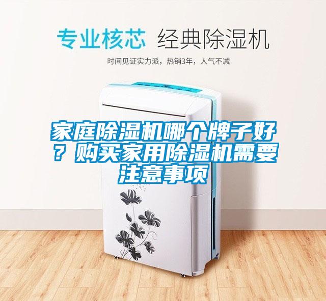 家庭除濕機哪個牌子好？購買家用除濕機需要注意事項