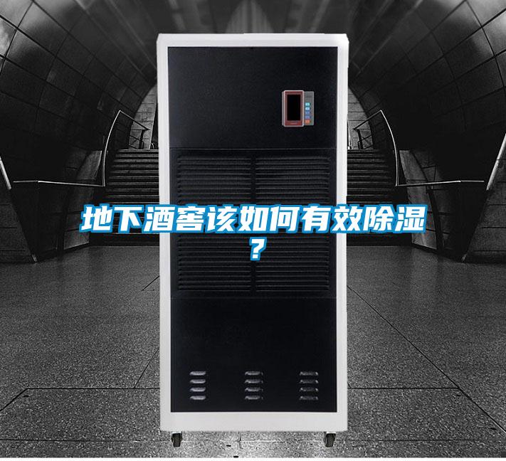 地下酒窖該如何有效除濕？