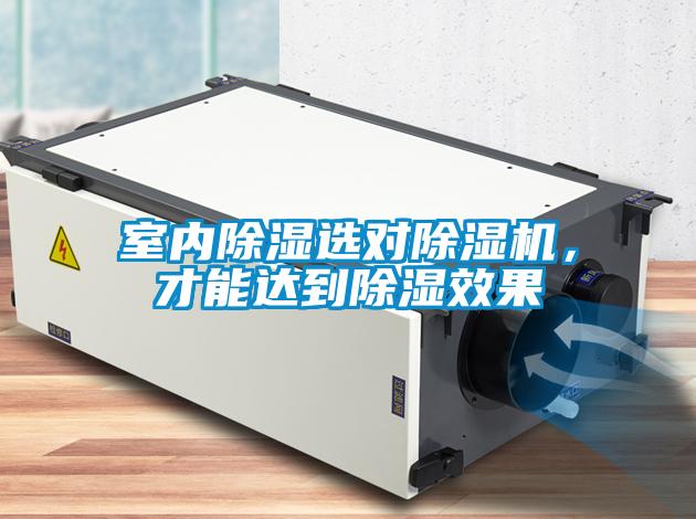 室內(nèi)除濕選對(duì)除濕機(jī)，才能達(dá)到除濕效果
