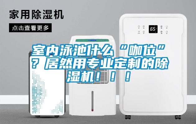 室內(nèi)泳池什么“咖位”？居然用專業(yè)定制的除濕機?。?！