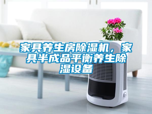 家具養(yǎng)生房除濕機(jī)，家具半成品平衡養(yǎng)生除濕設(shè)備