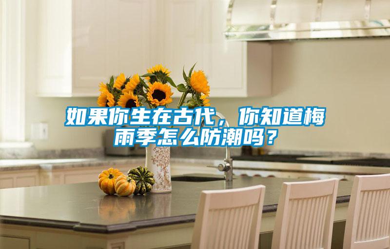 如果你生在古代，你知道梅雨季怎么防潮嗎？