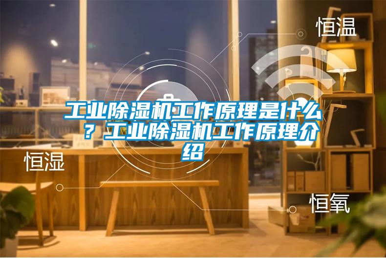 工業(yè)除濕機(jī)工作原理是什么 ？工業(yè)除濕機(jī)工作原理介紹