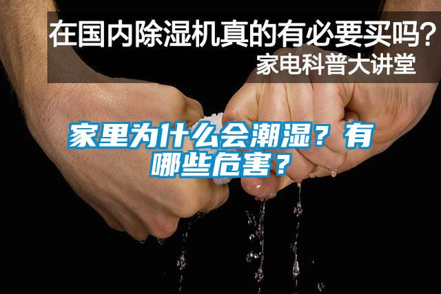 家里為什么會潮濕？有哪些危害？